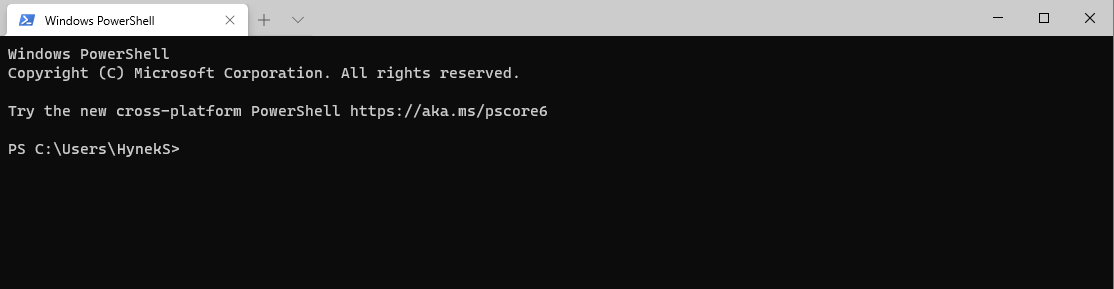 Screenshot of the appearance of PowerShell on a newly installed Windows Terminal.
