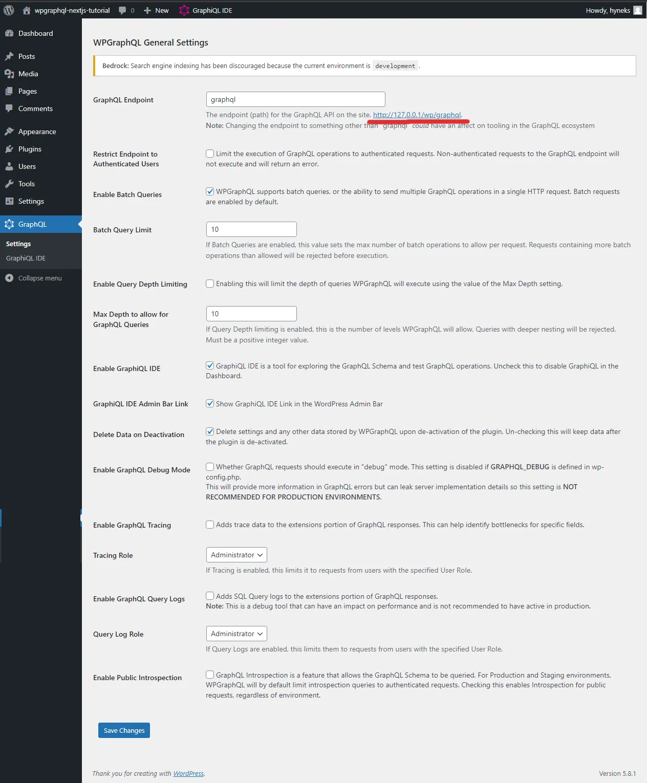 Image of the default WP GraphQL plugin settings